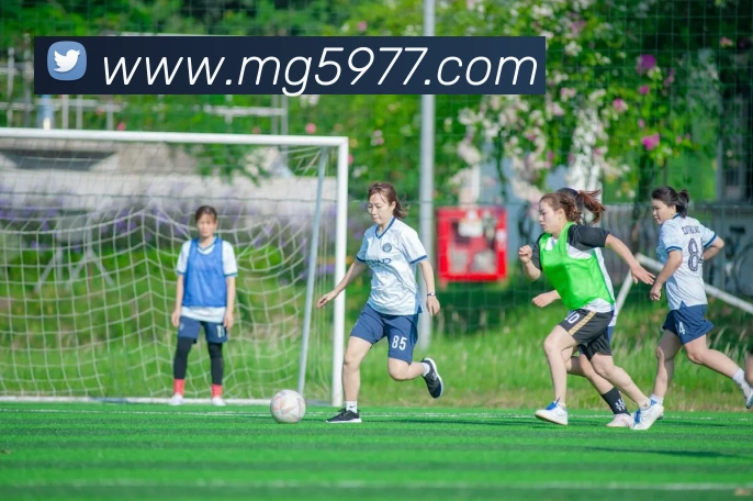 MG冰球突破服务体系